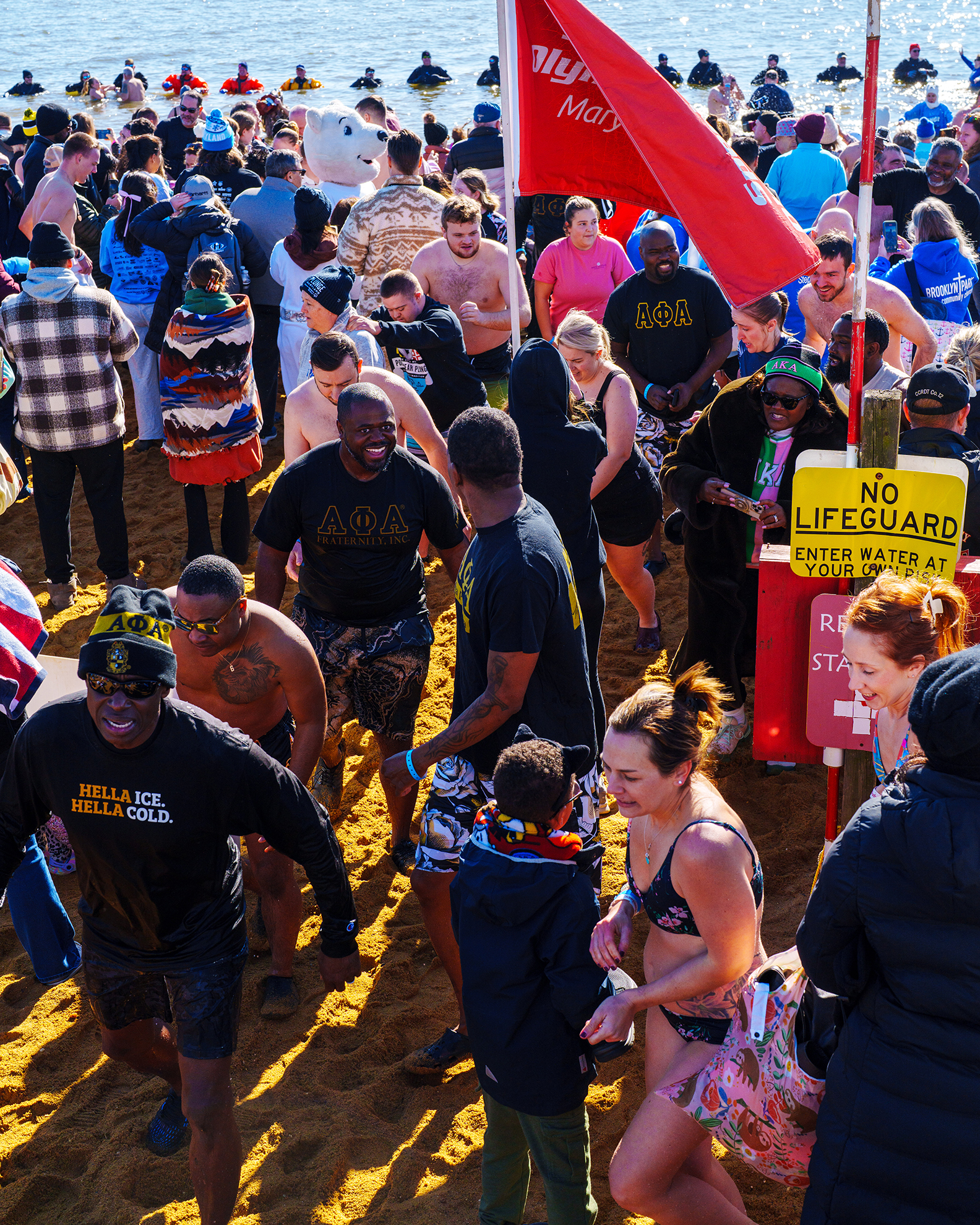 MSP Polar Bear Plunge